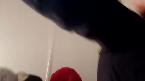 1990babyscg online show from February 17, 6:45 am