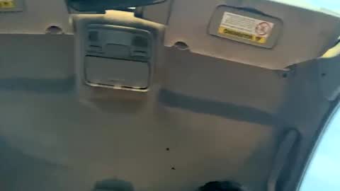 23havefunwitme online show from February 17, 12:43 am