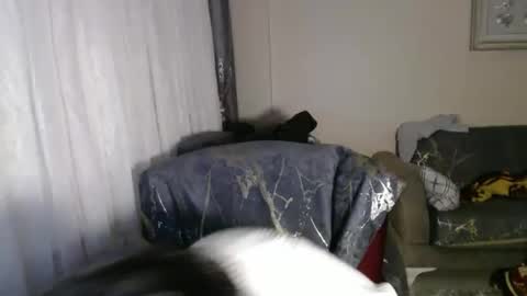 Berk online show from February 2, 11:34 pm