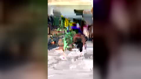 2pa120910 online show from April 4, 10:33 am