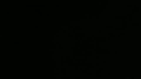 45 52 49 43 online show from February 16, 12:20 am