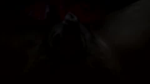 666xoxo online show from September 21, 5:28 pm