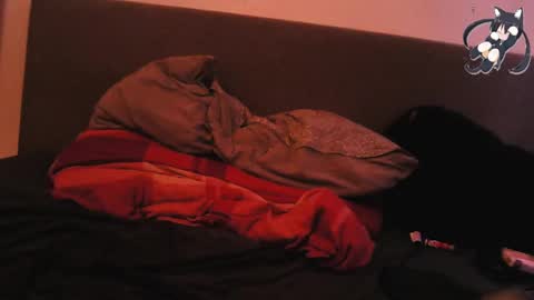 Shady online show from December 29, 12:23 pm