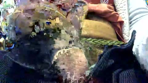 6990fiko online show from November 18, 8:28 am