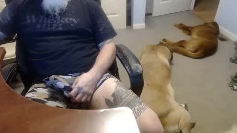 MASTIFF online show from October 13, 5:04 pm