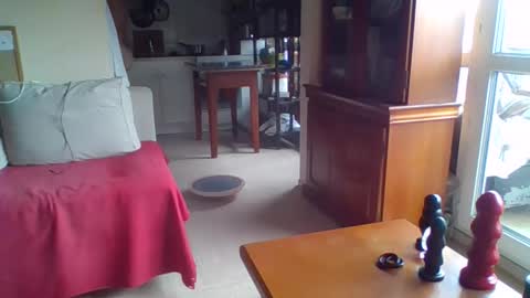 _bubble_buttfunxxx online show from September 24, 10:11 am