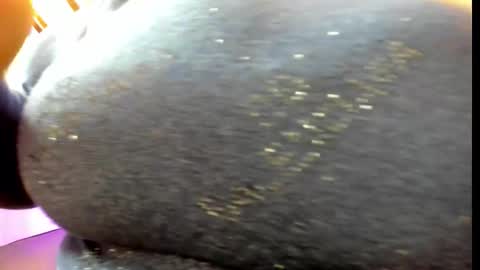 Emily  online show from November 1, 12:15 pm