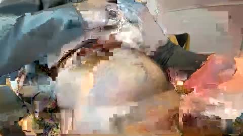 Snapshot of _ginger_boy chatting on February 9, 10:20 am Ginger boy online show from February 9, 10:20 am