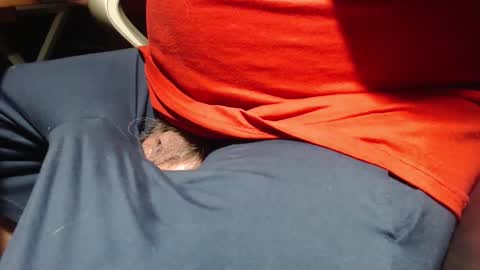 _jimmini online show from March 25, 6:42 am