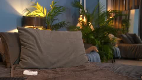 FANSLY ---   anal in private 700 tokens online show from November 1, 11:20 am