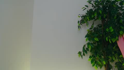 Mila  online show from November 21, 7:39 am