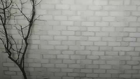 Rachel online show from December 14, 1:27 pm