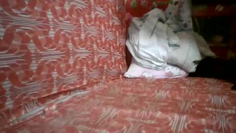 _suphitchaya_ online show from June 22, 10:55 am