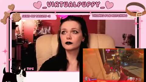 puppy online show from August 7, 11:47 pm