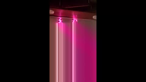 act_right_dub420 online show from January 9, 5:46 am