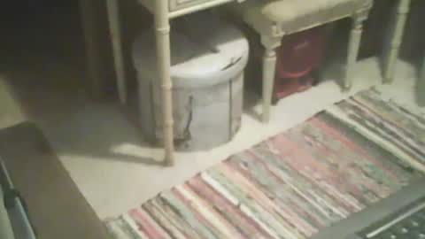 Snapshot of adamsny chatting on October 15, 8:04 am adamsny online show from October 15, 8:04 am