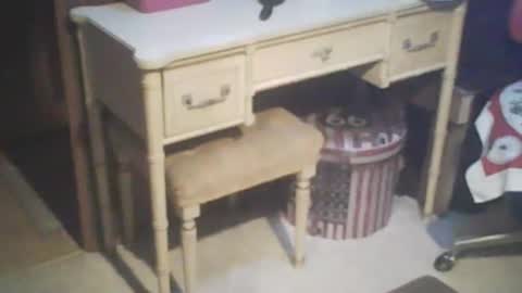 Snapshot of adamsny chatting on February 21, 7:56 am adamsny online show from February 21, 7:56 am