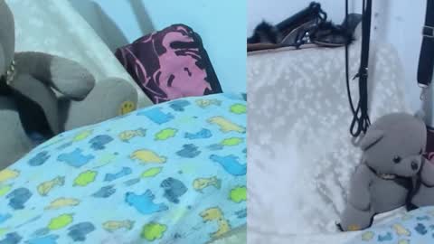 afroditacute16 online show from January 12, 2:18 am