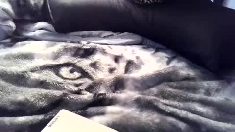 aken4it online show from April 2, 11:33 pm