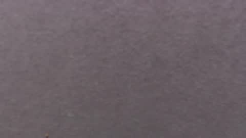 alaia_blue1 online show from September 20, 6:11 pm