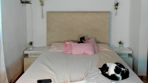             online show from March 20, 2:22 pm