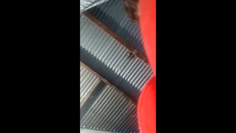 alexander_golden online show from March 15, 7:02 am