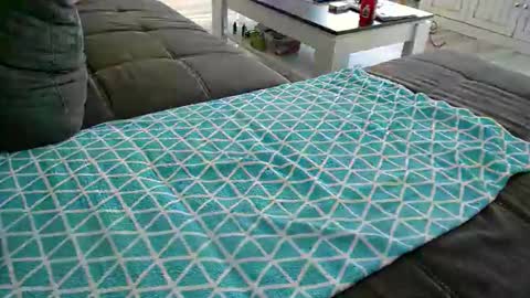 Doggystyle online show from December 24, 11:49 am