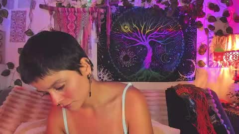 Alex online show from April 25, 2:14 am