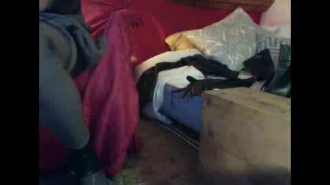 alexischat online show from September 25, 4:19 am