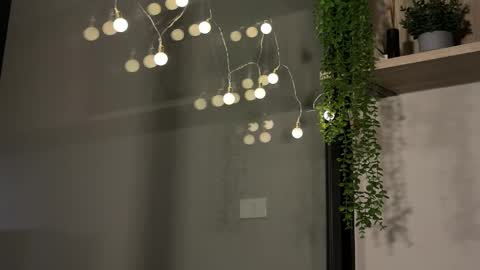 Alex online show from January 23, 6:17 am