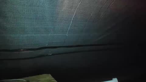 alfiesolomons87 online show from September 9, 2:11 am