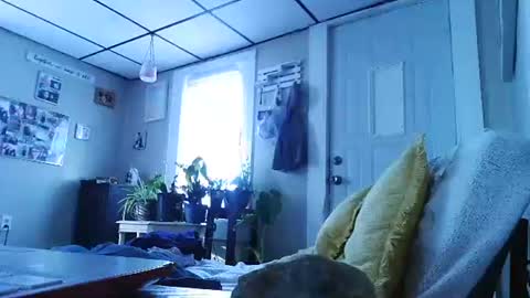 ali_tayler online show from November 8, 1:47 pm