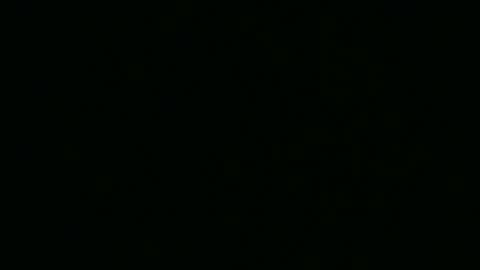 Alice online show from September 30, 3:55 pm