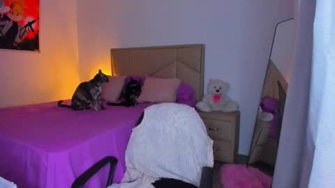 aliciabiden online show from March 21, 3:45 am