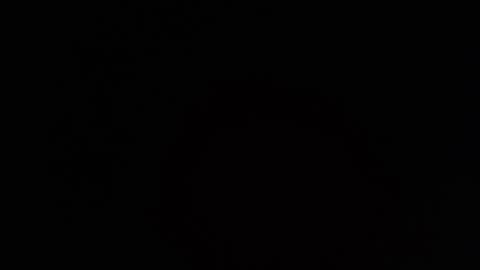     online show from March 26, 7:41 pm