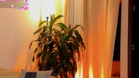 Amatista online show from November 6, 11:30 pm