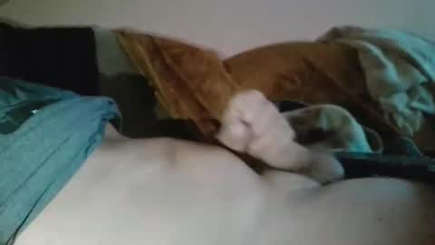 amazingcuteboy845 online show from October 26, 10:31 pm