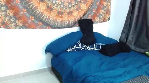 Amber  online show from October 25, 4:29 pm