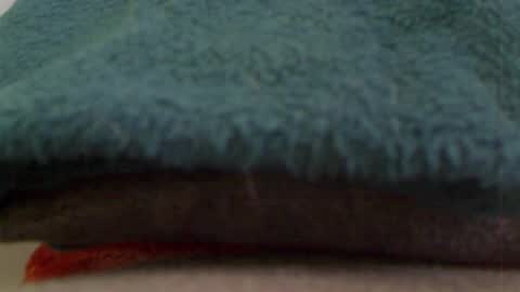 Snapshot of anaiserebel chatting on January 4, 7:34 am anaiserebel online show from January 4, 7:34 am