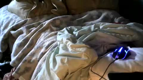 Snapshot of analwhore666 chatting on January 18, 4:53 pm kinkylilanalslut online show from January 18, 4:53 pm