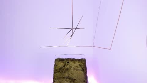 anastasia online show from November 15, 3:52 am