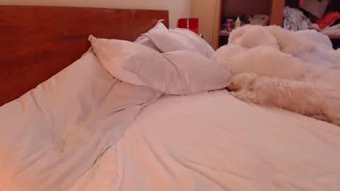 Andra online show from March 9, 1:59 pm