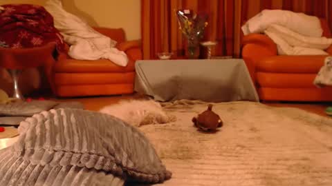 Andra online show from November 19, 10:19 pm