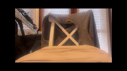 andregio0087 online show from January 8, 9:04 am