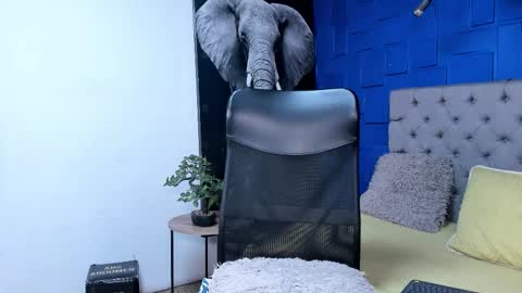 insta andres clark  online show from October 24, 7:58 pm