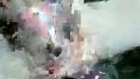 andrewaus64 online show from April 9, 2:15 am