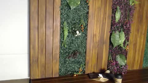 Andy Joy  online show from October 28, 11:22 am