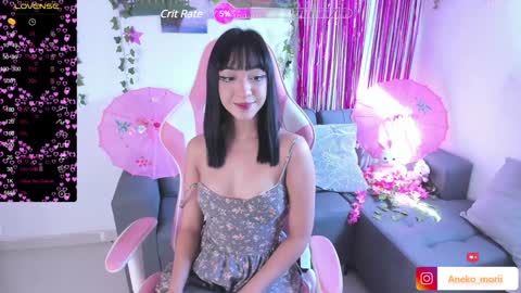 Snapshot of aneko_morii chatting on December 12, 2:33 pm online show from December 12, 2:33 pm