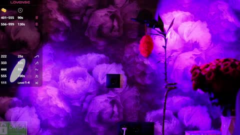 angeellina online show from January 3, 5:20 pm