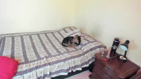 Angel online show from October 15, 3:24 pm